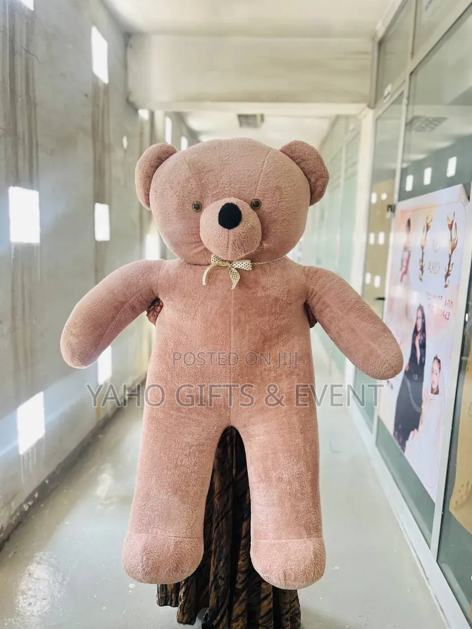 2xl Brown Teddy for Sale