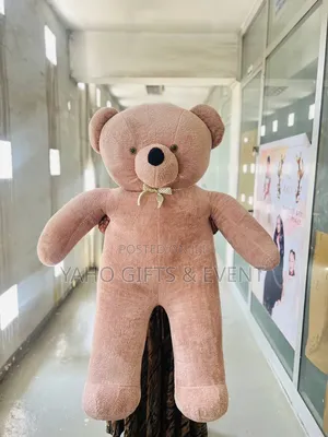 2xl Brown Teddy for Sale