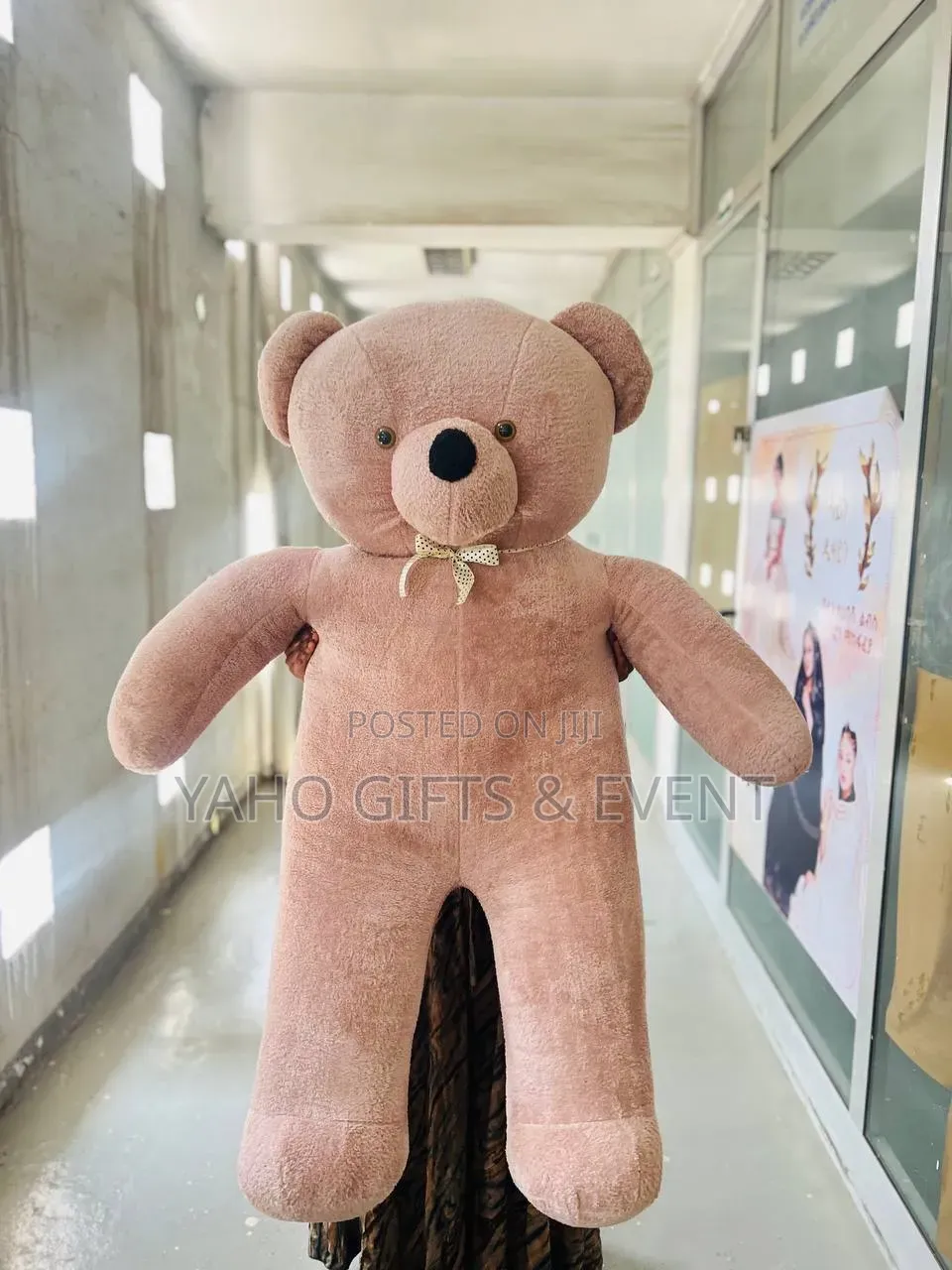 2xl Brown Teddy for Sale