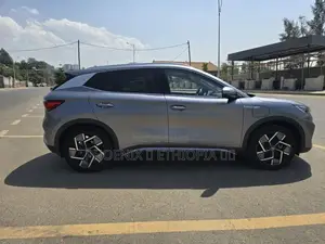 BYD Yuan Plus 2024 Silver