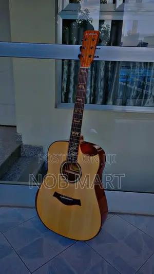 Fr. Antonio Semi Acoustic Box Guitar !