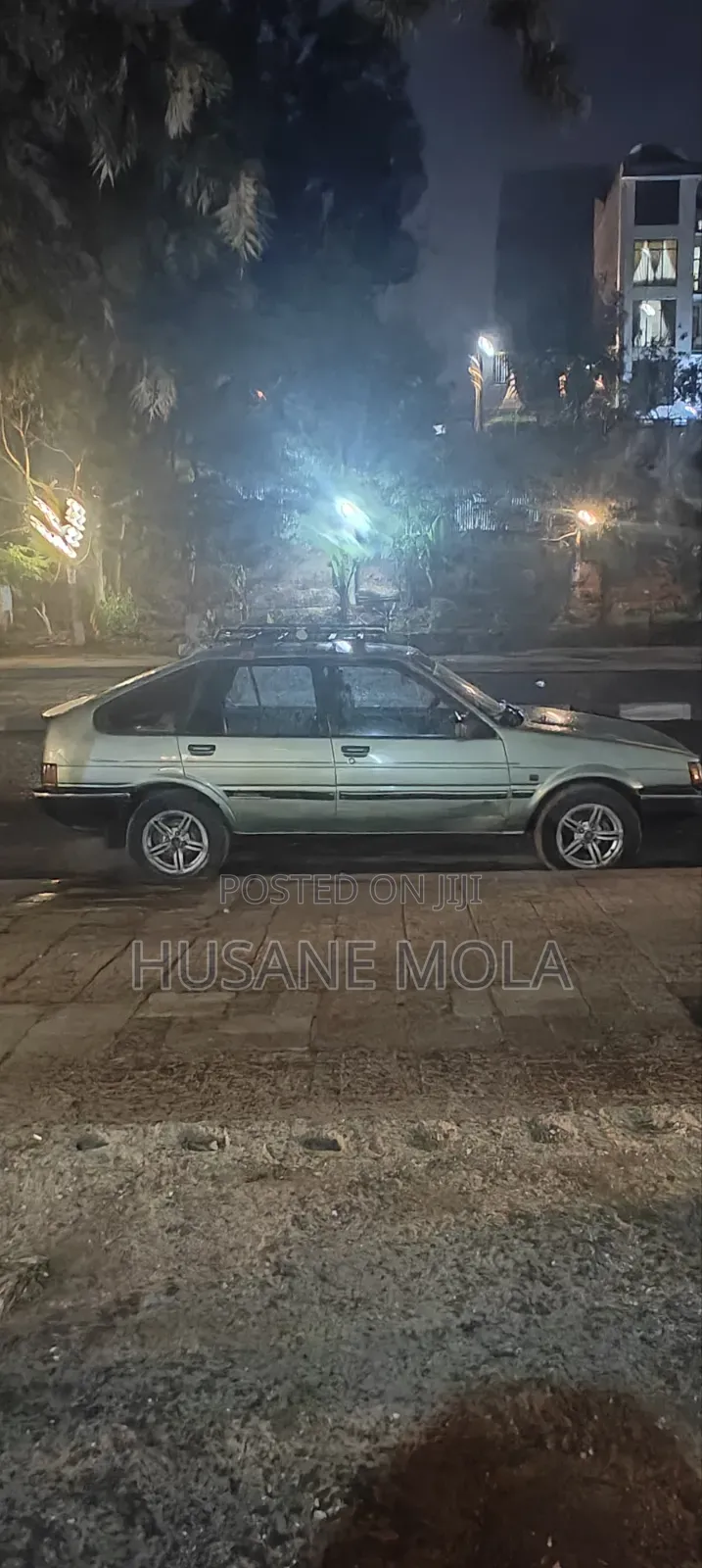 Toyota Lexcen 1987 Gray