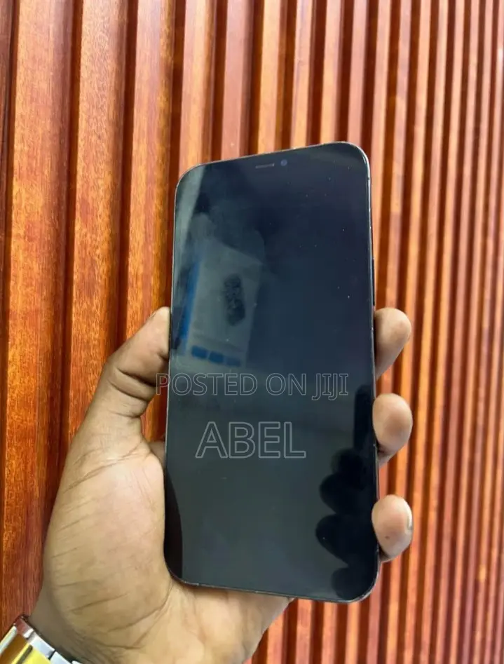 Apple iPhone 12 Pro Max 256 GB Blue