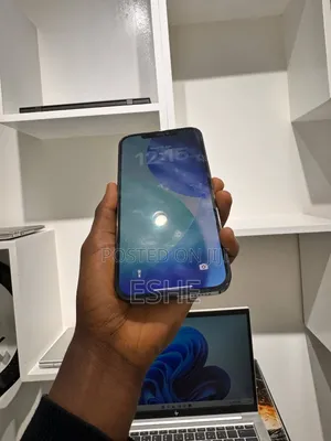 Apple iPhone 13 Pro Max 256 GB Silver