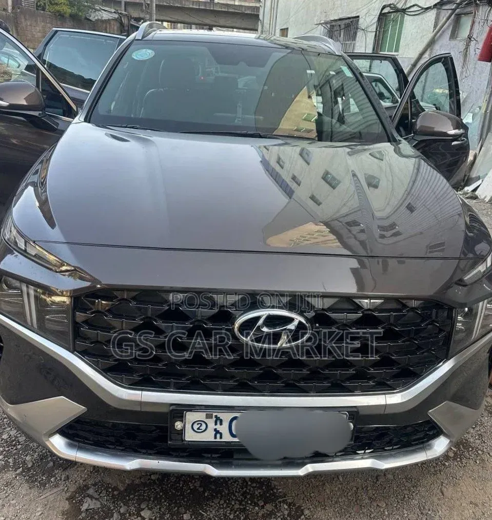 Hyundai Santa Fe 2021 Gray
