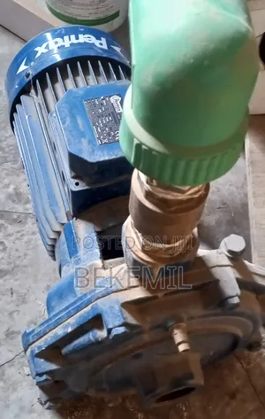 Pentax Water Pump