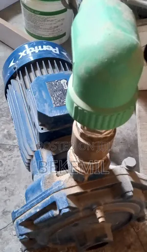 Pentax Water Pump