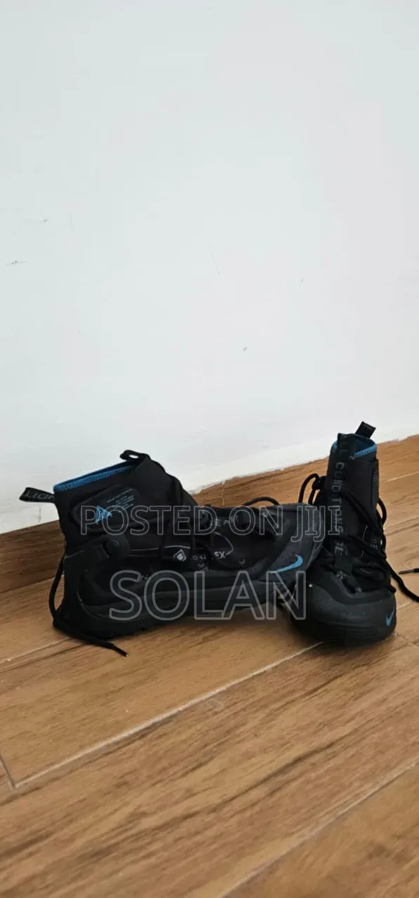 Nike Acg Air Terra Antarktik Mens Shoes