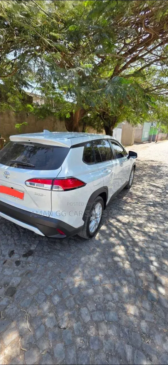 Toyota Corolla 2025 White