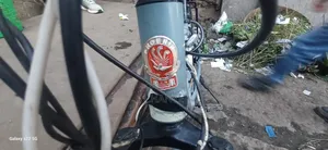 አሊሙኒየም ሳይክል