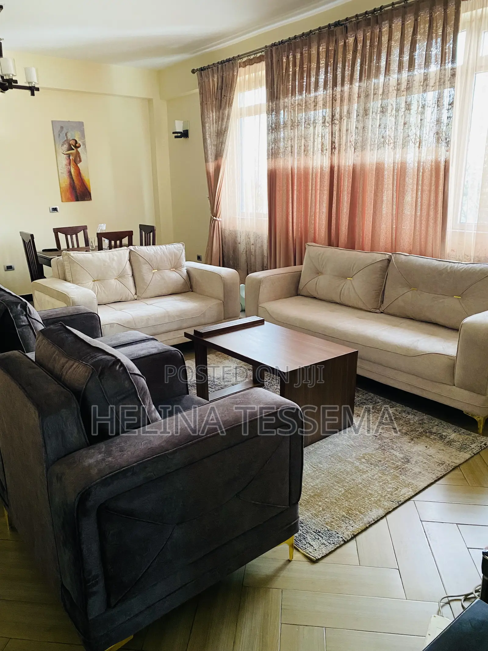 Living Room Sofa