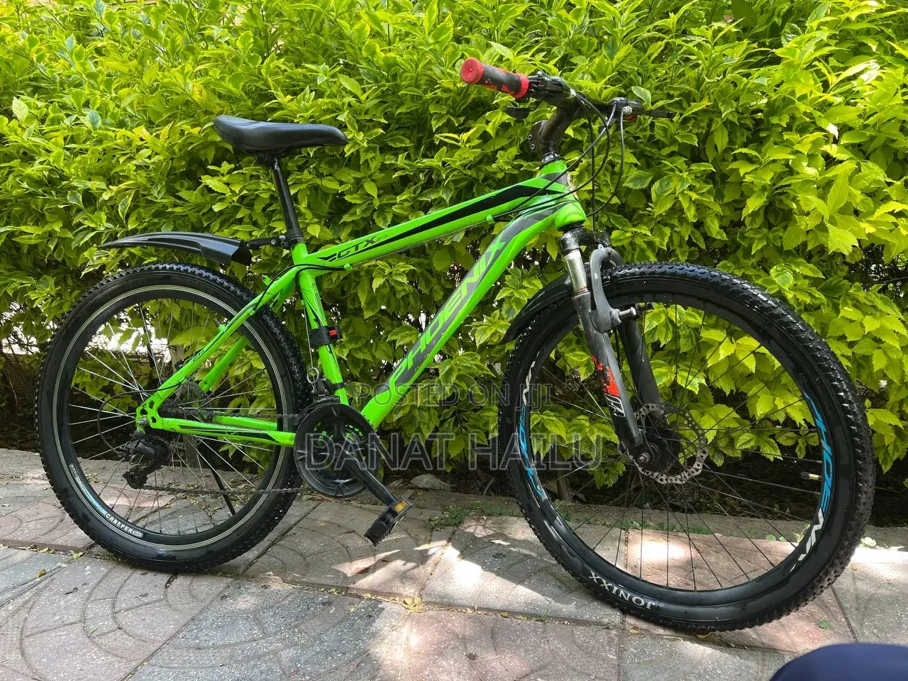 Phonex Bike