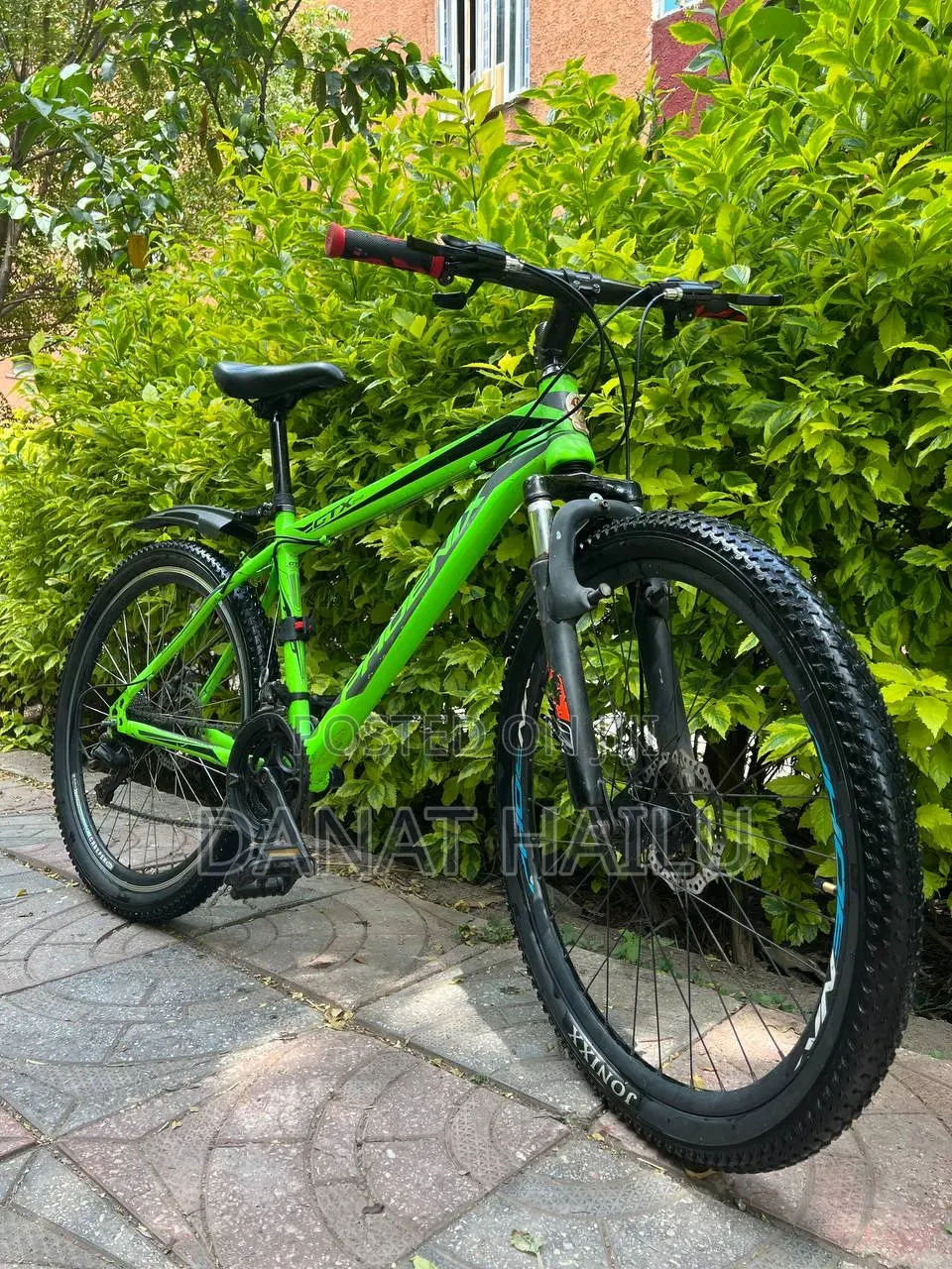 Phonex Bike