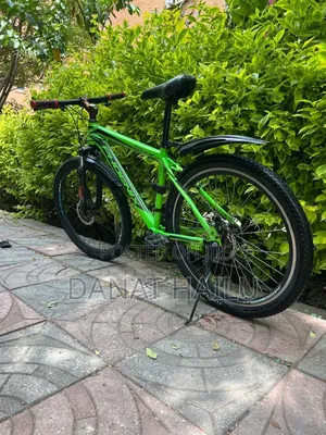 Phonex Bike