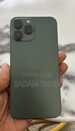 Apple iPhone 13 Pro Max 256 GB Green