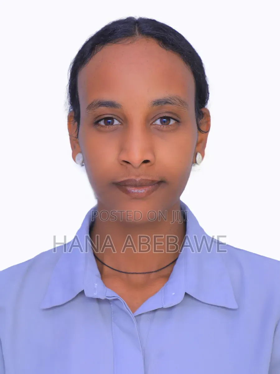 Website Developer