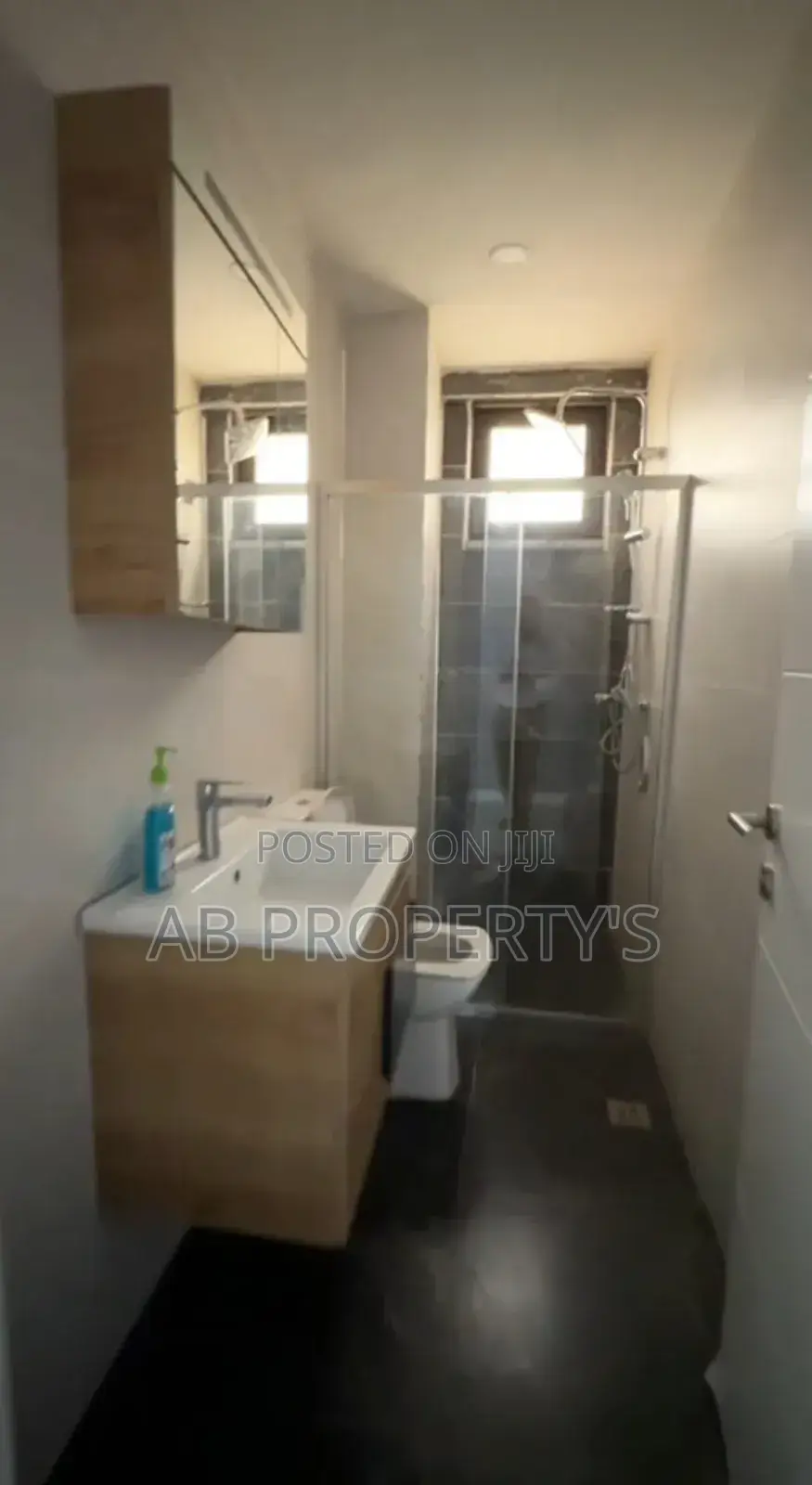 Furnished 3bdrm Apartment in Bole Danbel for sale