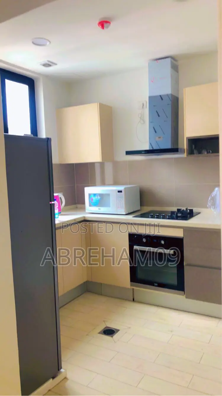 Furnished 2bdrm Apartment in Alsam Apartment, Lideta for rent