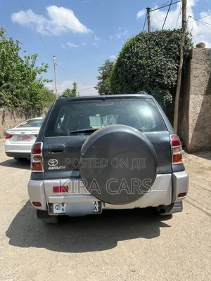 Toyota RAV4 2005 Gray