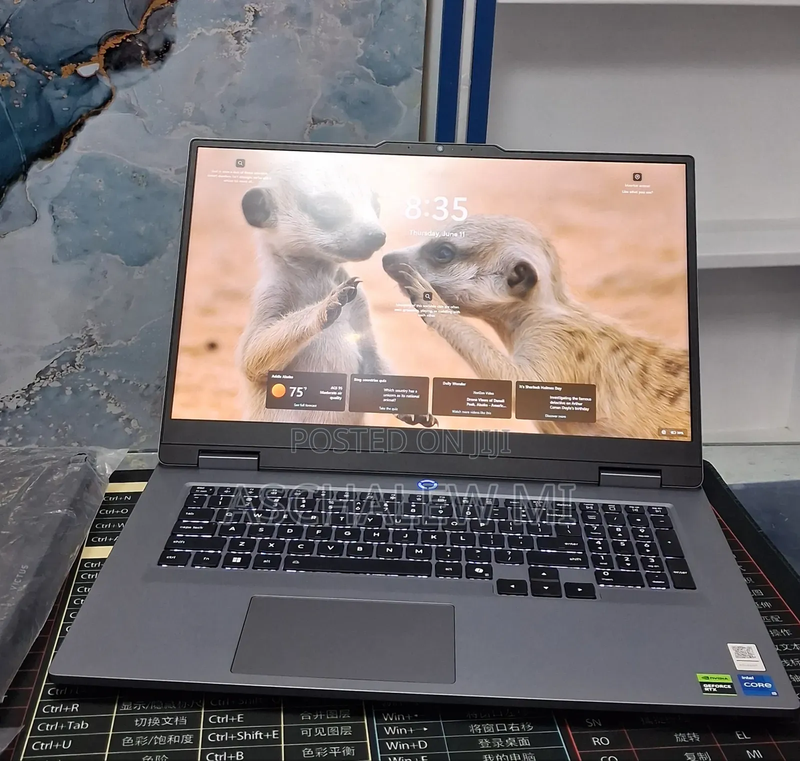 New Laptop Lenovo LOQ 15AHP10 16GB Intel Core i5 SSD 1T