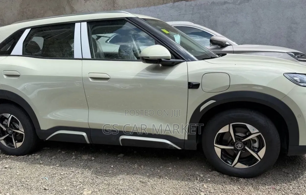 New BYD Yuan Up 2025 White