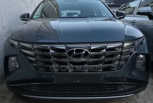 Hyundai Tucson Value 2021 Gray
