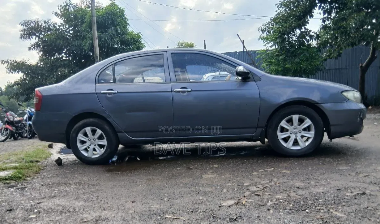 Lifan 520 2011 Gray