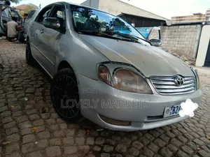 Toyota Corolla RunX 2003 Silver