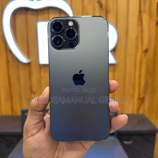 Apple iPhone 13 Pro Max 256 GB Gray