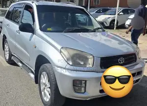 Toyota RAV4 2002 Silver