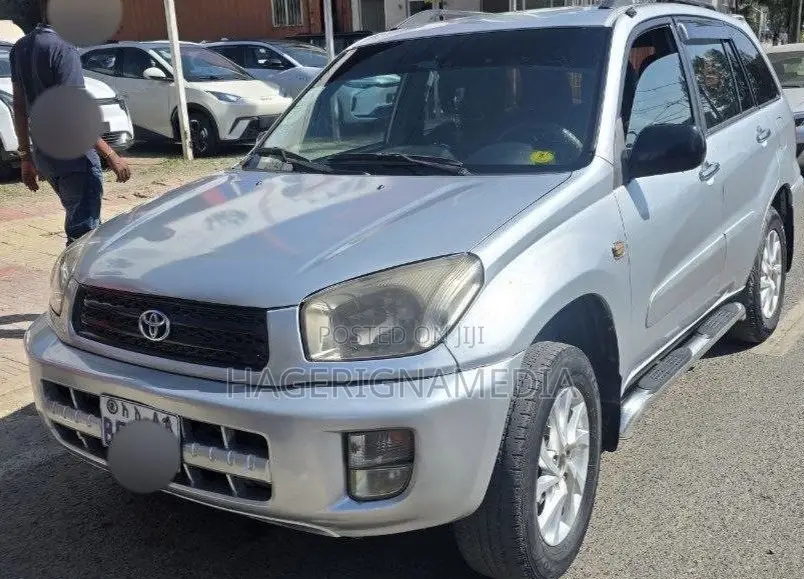 Toyota RAV4 2002 Silver