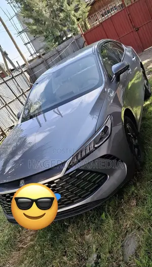 BYD Qin Plus DM-i 2025 Gray