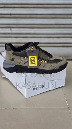Cat Oirgnal Shose