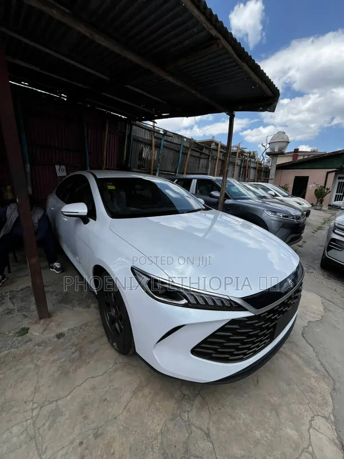 New BYD Qin Plus DM-i 2025 White