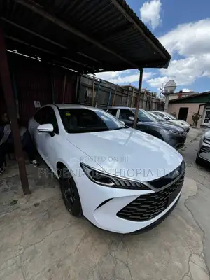 New BYD Qin Plus DM-i 2025 White
