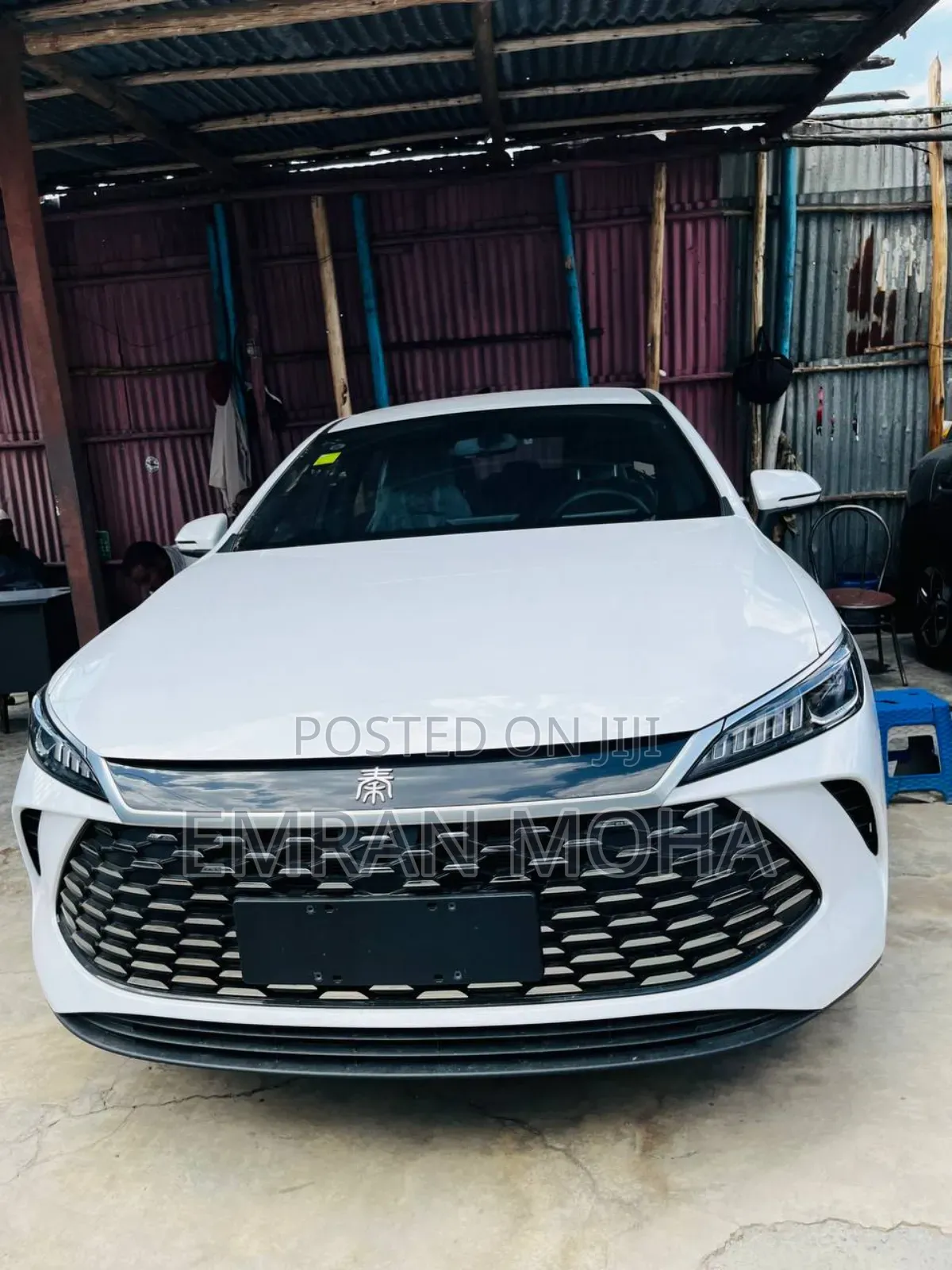 New BYD Qin Plus DM-i 2025 White
