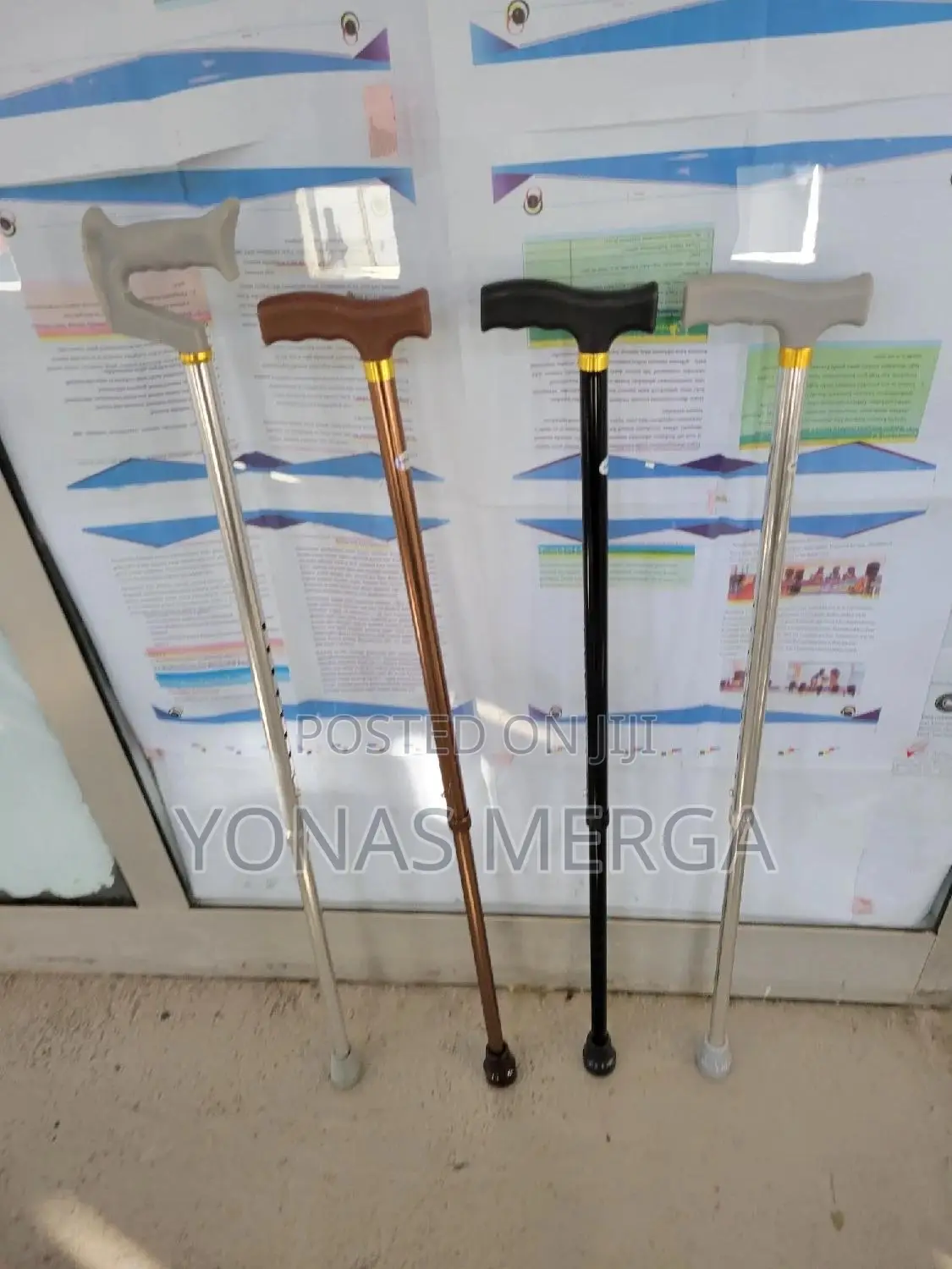 Walking Stick Seems to Be Merely an "Aid for When Walking Is Difficult