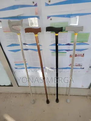 Walking Stick Seems to Be Merely an "Aid for When Walking Is Difficult