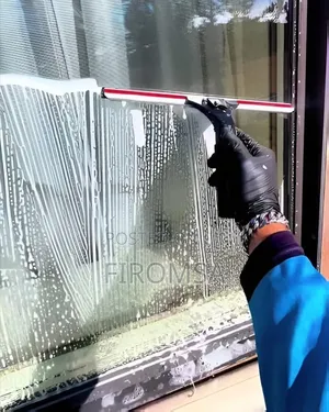 Window Cleaning Service
