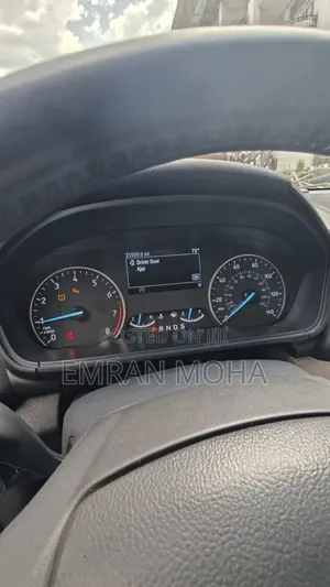 Ford Ecosport 2021 Gray