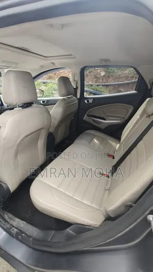 Ford Ecosport 2021 Gray