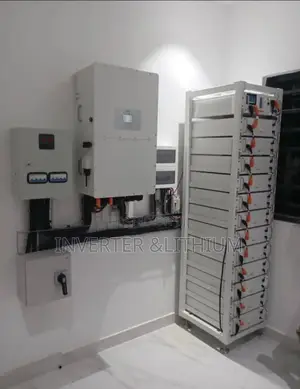 Hybrid Inverter Lithium Iron Phosphate Battery (Lithium Ion Batter)