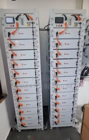 Hybrid Inverter Lithium Iron Phosphate Battery (Lithium Ion Batter)