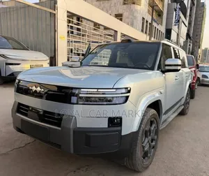 New BYD Leopard 7 2025 Gray