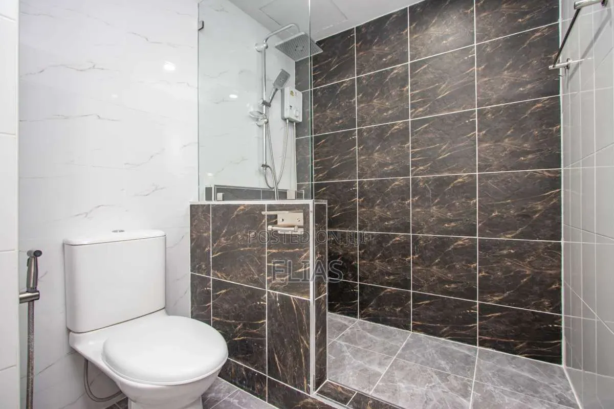 Furnished 3bdrm House in Bole for rent