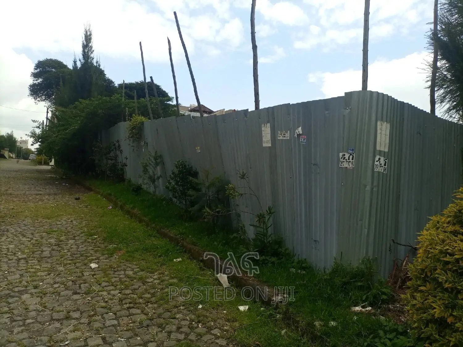 በጣም ቆንጆ ቦታ ለመኖሪያ በጣም ምቹ የሆነ የሚቆረጥ