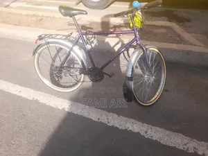 Bir Eco 2024 Purple