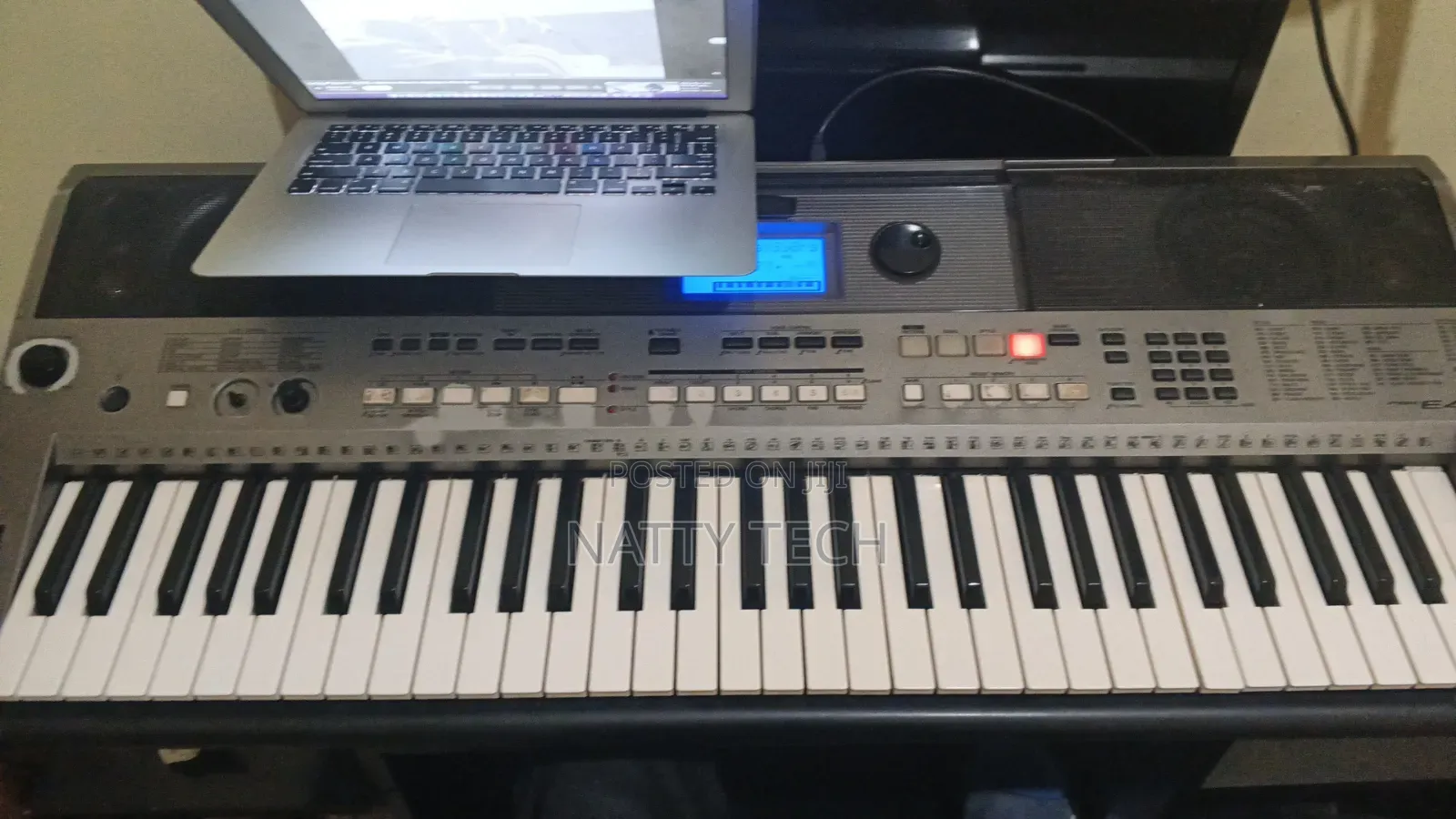 Yamaha Psr 443