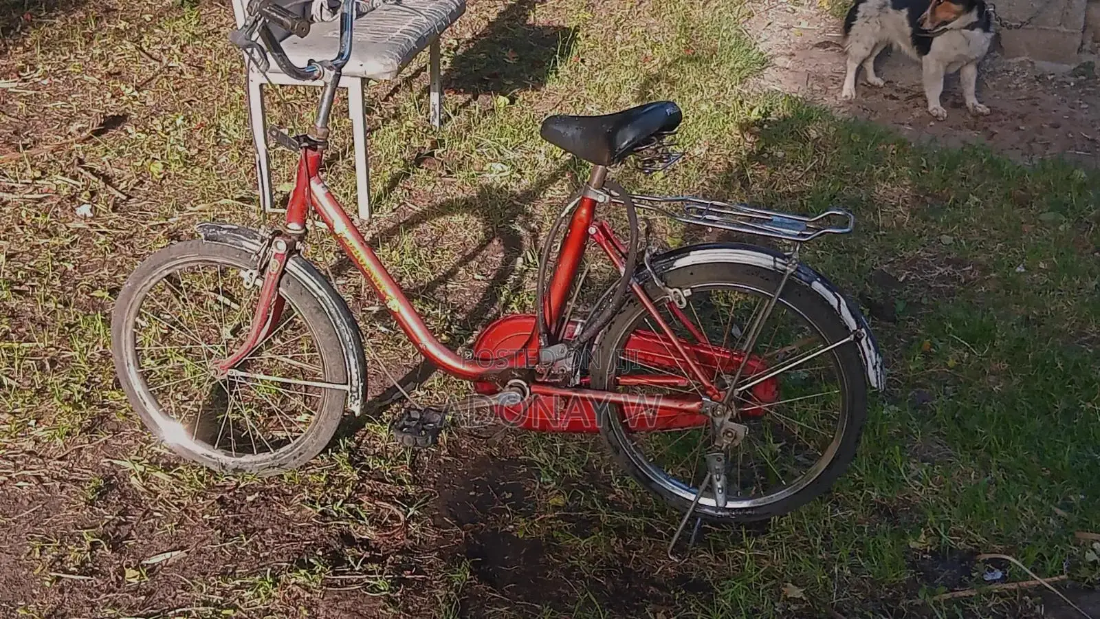 Cheap Bike