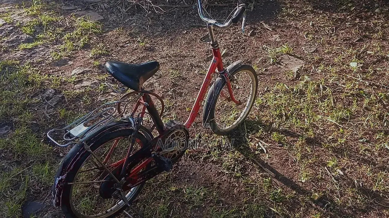Cheap Bike
